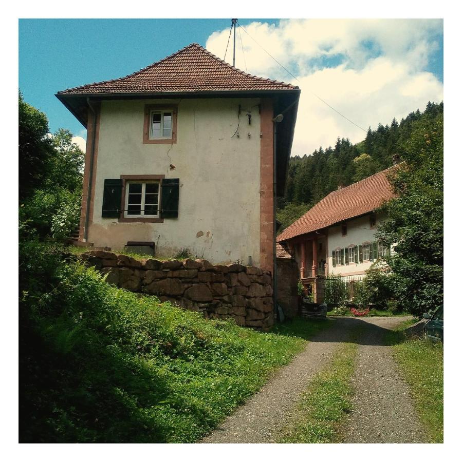 Apartamento La Demeure Des Forges Grandfontaine  Exterior foto