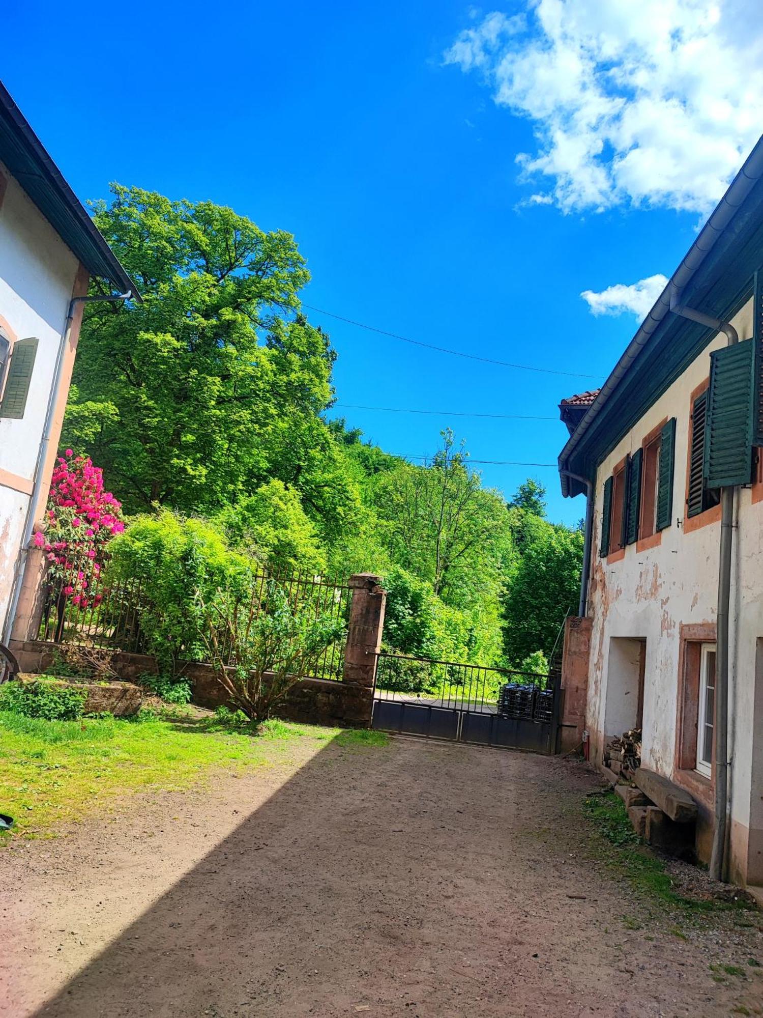 Apartamento La Demeure Des Forges Grandfontaine  Exterior foto