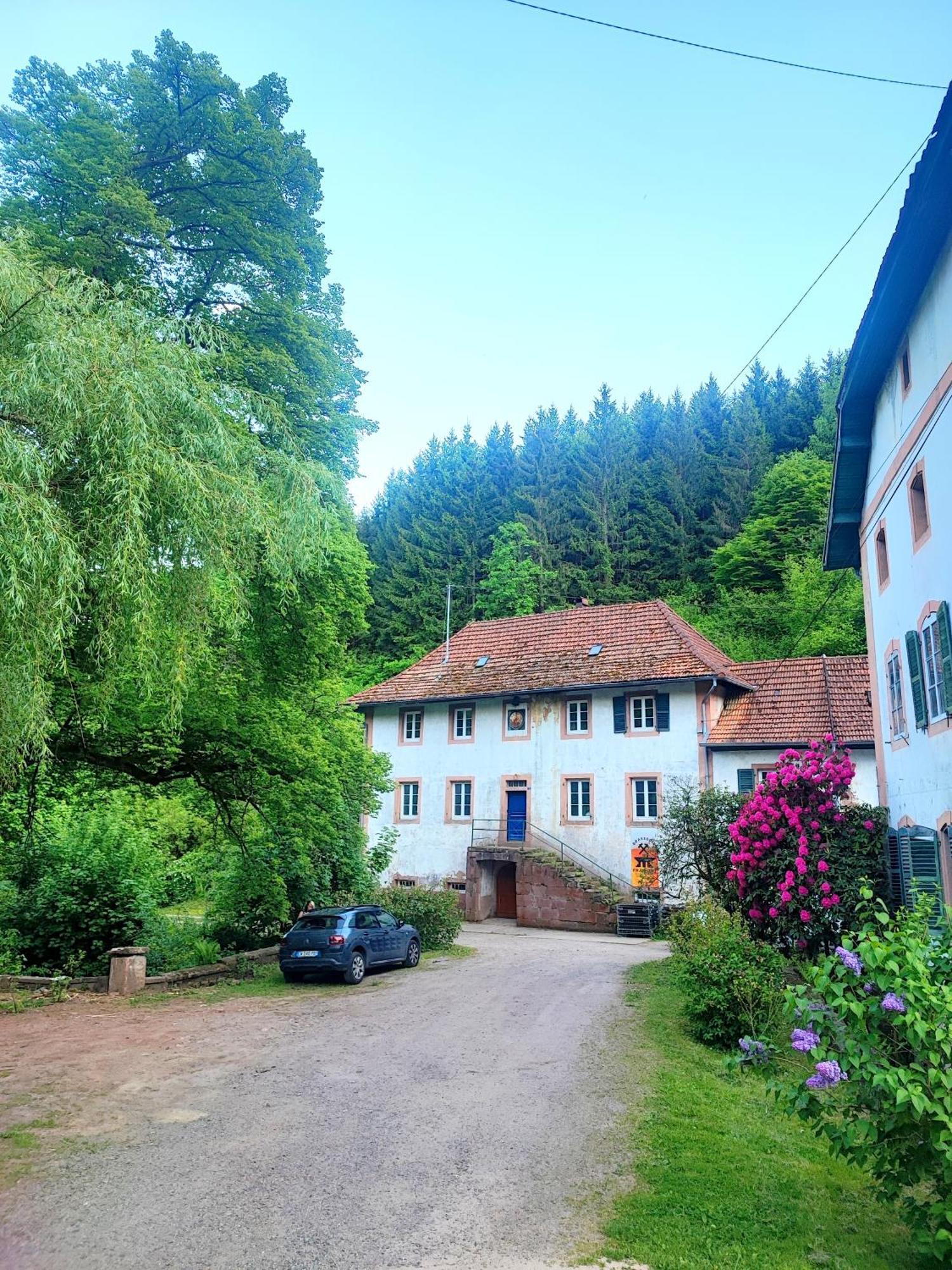 Apartamento La Demeure Des Forges Grandfontaine  Exterior foto