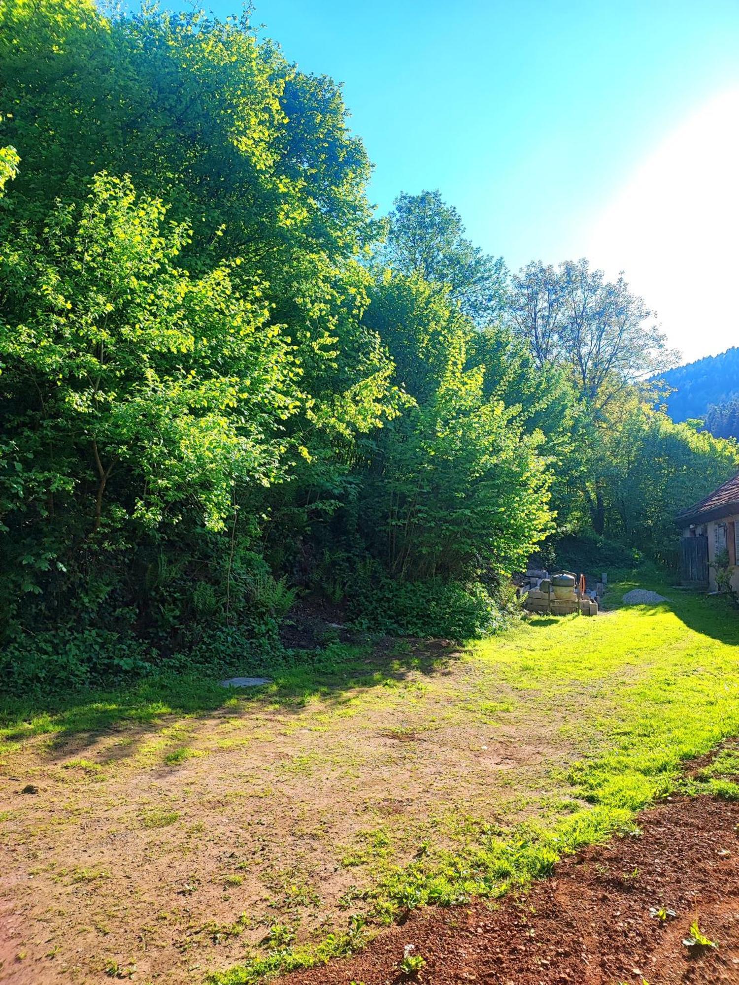 Apartamento La Demeure Des Forges Grandfontaine  Exterior foto
