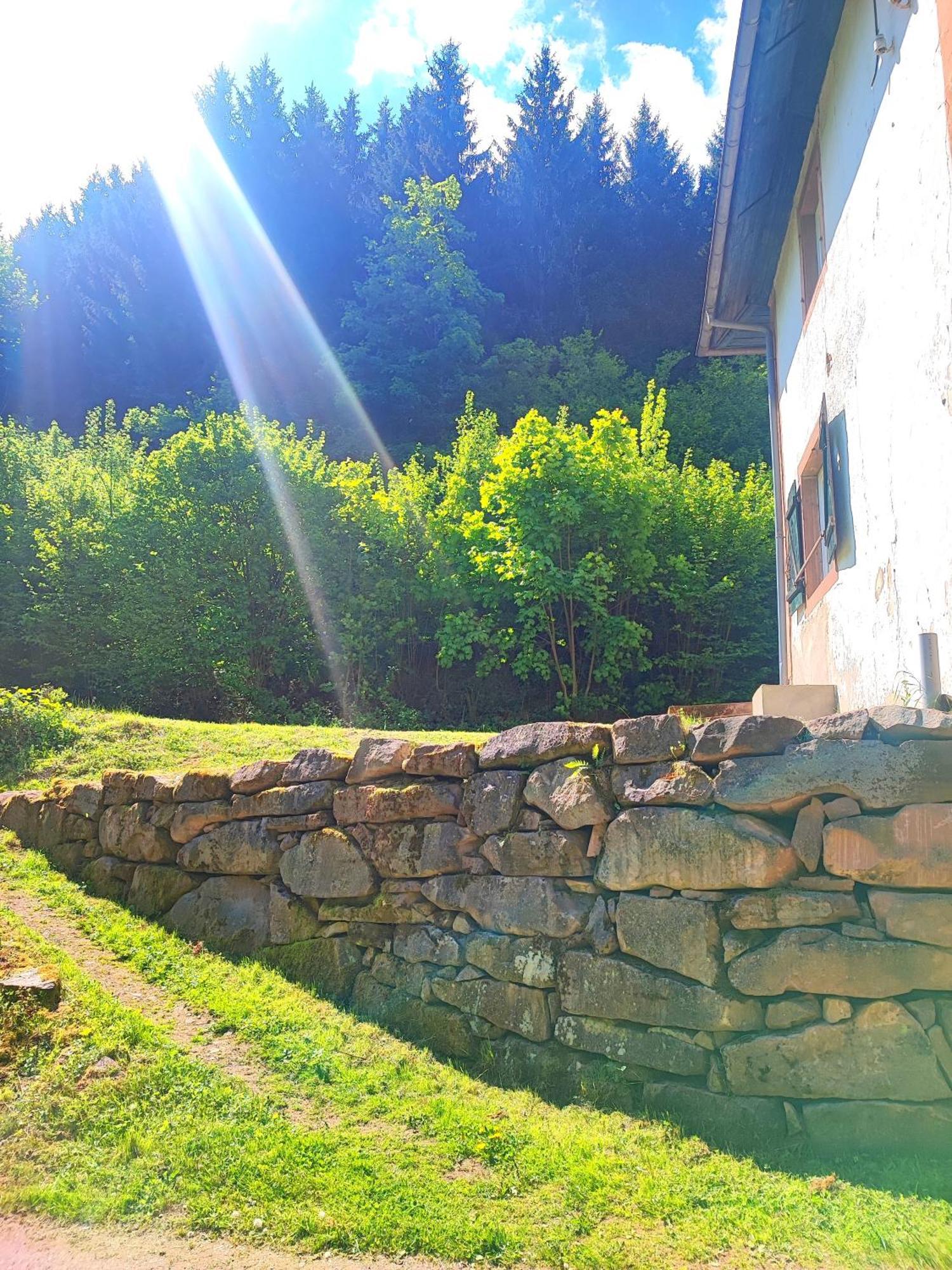 Apartamento La Demeure Des Forges Grandfontaine  Exterior foto